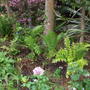 Brens_photos_399
