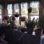 Houseplants are enjoying the sun & warmth on the porch now that the seedlings are finally planted.
