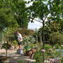 "cat" patio or patio 2, complete with hubby Garry