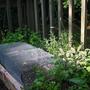 patio garden3