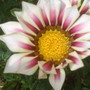 28th_april_08_073