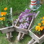 Wheelbarrows.