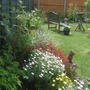 left side of garden.