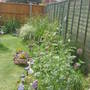 Right side of garden