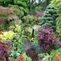 Lower garden 25 May 08.jpg