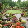 Upper garden 25 May 08