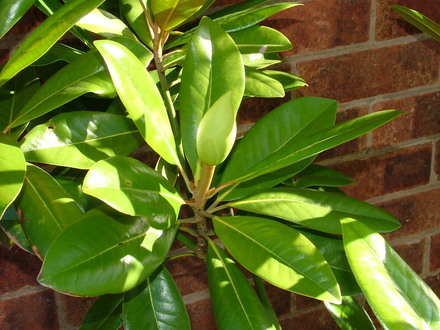 Imported_Photos_00056.jpg