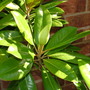 Imported_Photos_00056.jpg