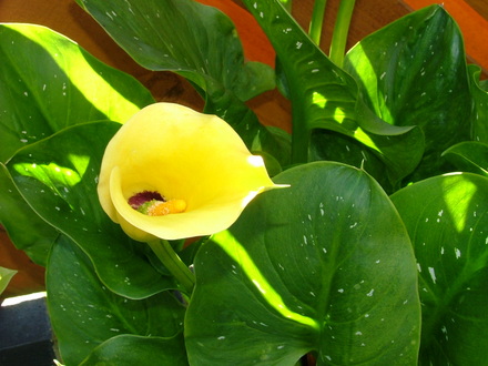 Imported_Photos_00054.jpg