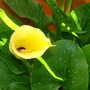 Imported_Photos_00054.jpg