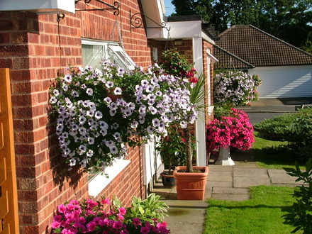 Imported_Photos_00053.jpg