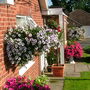 Imported_Photos_00053.jpg
