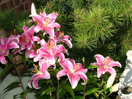 Imported_Photos_00051.jpg