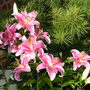 Imported_photos_00051