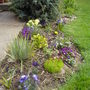 Pict0573