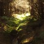 Knockengorroch_08_023