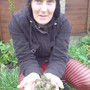 slugs and snails
