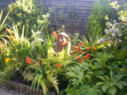 tropical border 