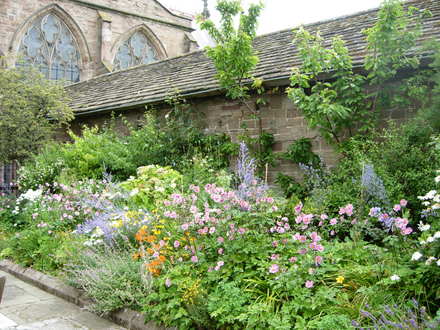 A Mixed Border