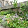 Dscn0878