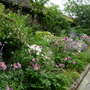 Dscn0877