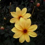 Dscn0884