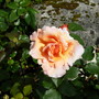 Dscn0834