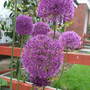Dscf0283