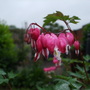 Dscf0293