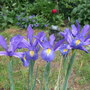 Dscf0289