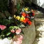 Dscn0803