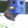 pinching AGAIN!!!
