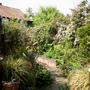 my back garden