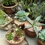 Patio pots