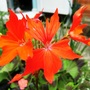 31_may_012.jpg