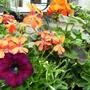 31_may_015.jpg