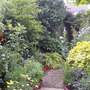 lily_and_garden2007_035.jpg