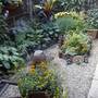 Garden_early_2007_042.jpg