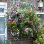 garden2007no.2_044.jpg