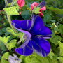 01062008114.jpg