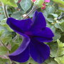 01062008115.jpg