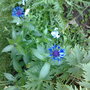 01062008119.jpg