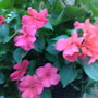 01062008117.jpg