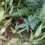 01062008123.jpg