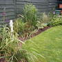 A garden flower photo