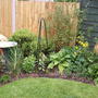 A garden flower photo