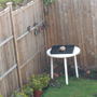 Birds & Suet!