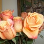 A close-up of the roses. 