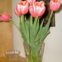 More of the tulips.
