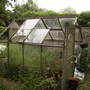 My overgrown greenhouse 05.08 [blog photo]